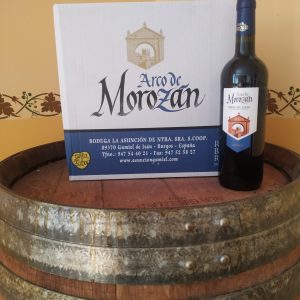 Tinto Crianza Arco de Morozán
